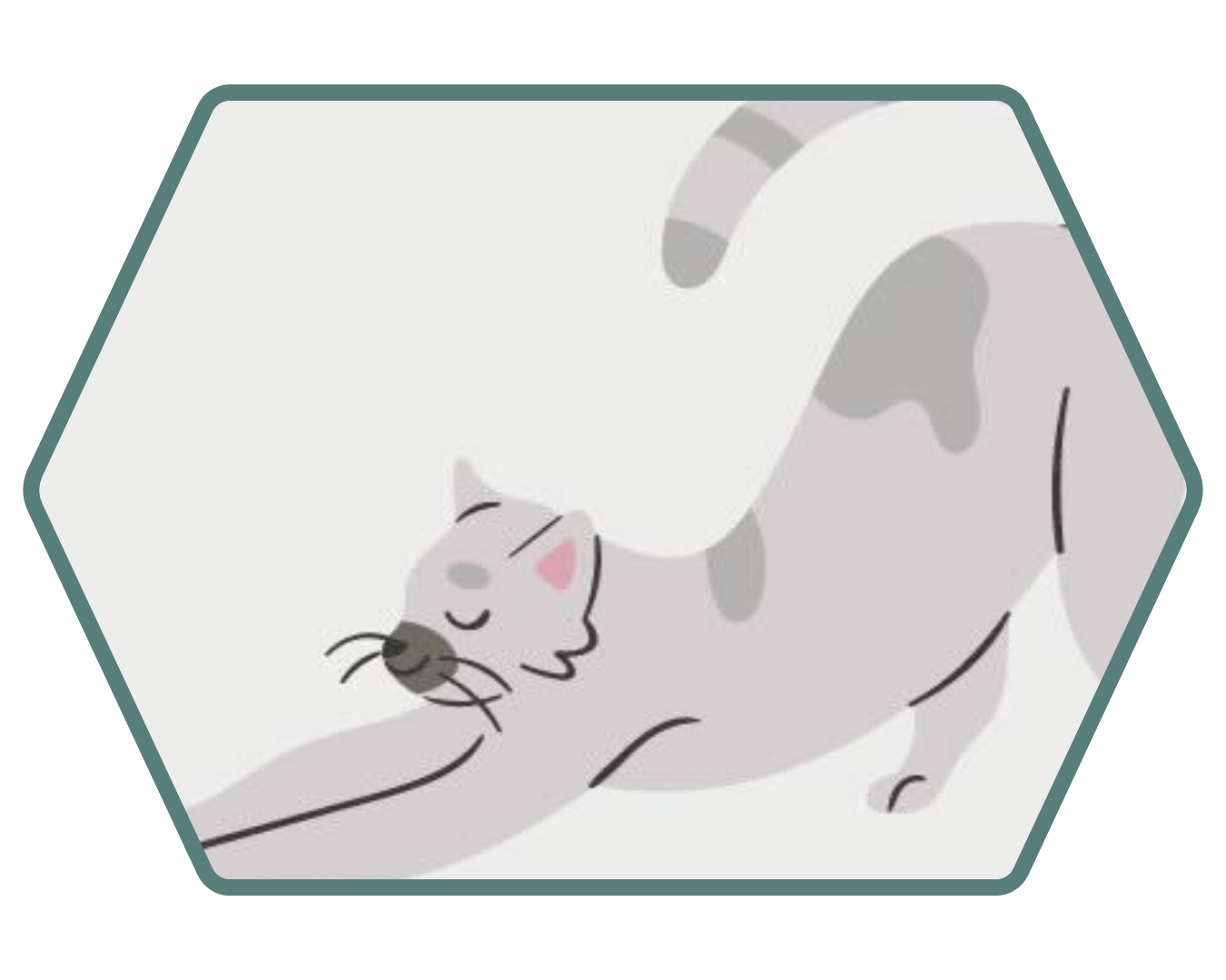 Gato